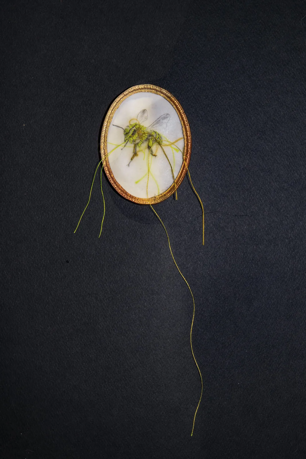 immagine per Alice Schivardi - s.t. - 2025 - disegno a ricamo su carta da lucido, matita, filo di cotone, cornice in metallo