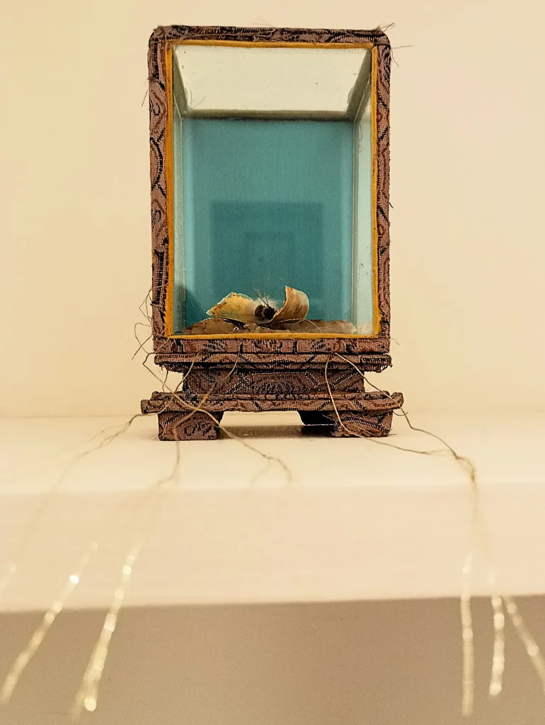 immagine per Alice Schivardi - Maja Arte Contemporanea
