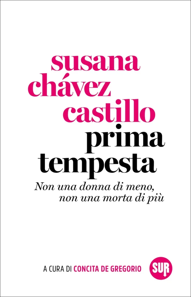 immgine per Susana Chavez Castillo, prima tempesta