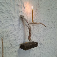 immagine per Caducité. Otto artisti, un solo giorno. Napoli. Vera Vita Gioia Napoli