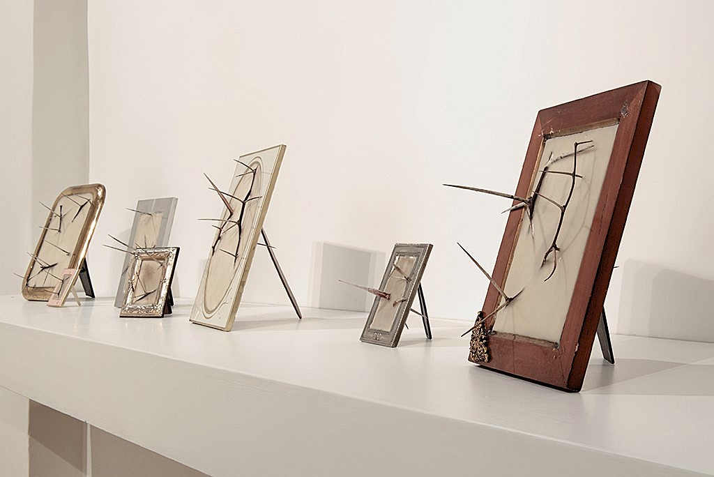 immagine per da Stefania Miscetti - Silvia Giambrone, Il danno, 2018