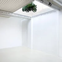 immagine per Stefania Miscetti cambia ma non si ferma