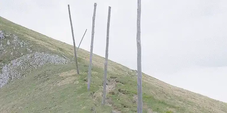 immagine per Paesaggi come stati dell'anima