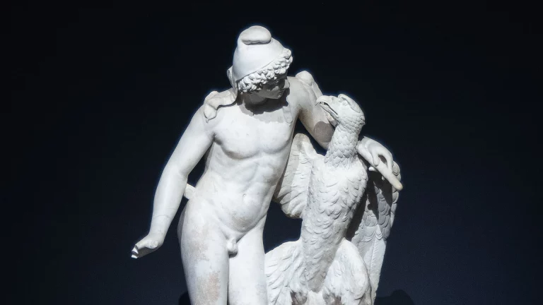 immagine per I Farnese nella Roma del Cinquecento. Origini e fortuna di una Collezione