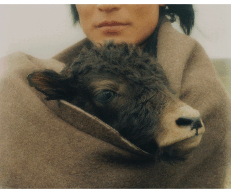 immagine per PhotoVogue Festival