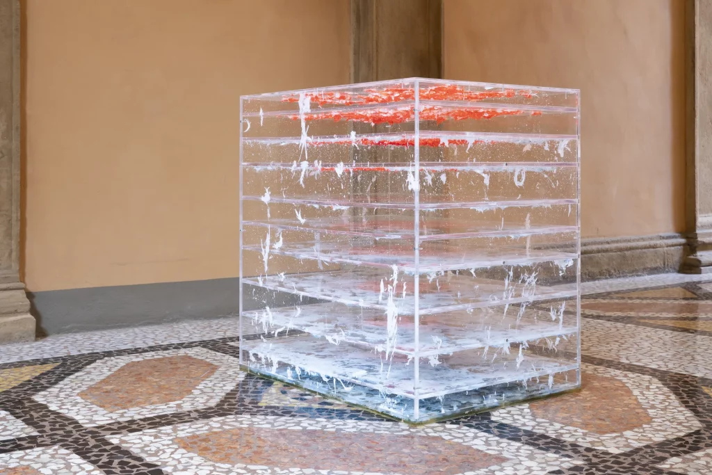 immagine per Le Jardin Féerique, 2006, plexiglass, piume d_oca conciate, vernici acriliche, resina epossidica, 82 x 60 x 80 cm. Ornella De Carlo