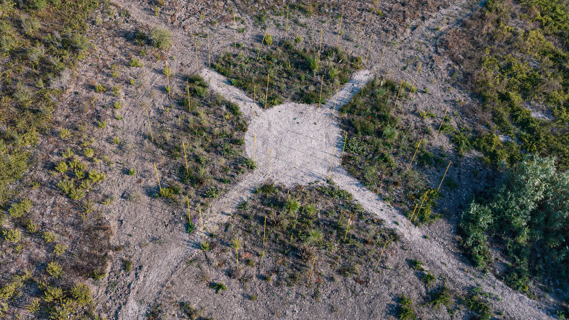 immagine per - Veduta installazione Chakana - ph. Sisilab