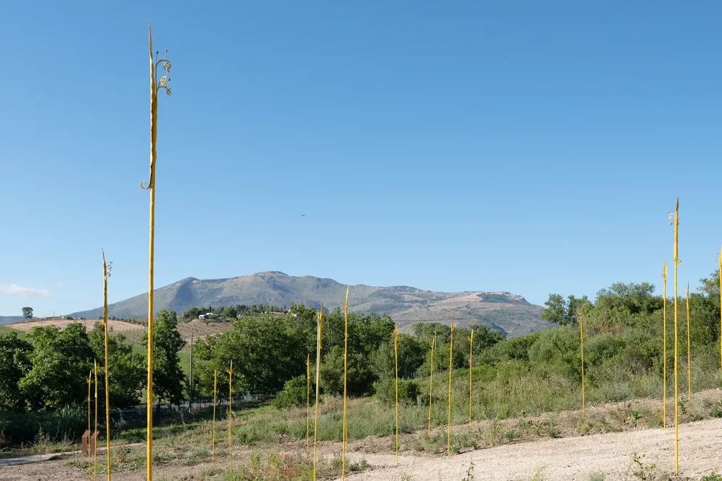 immagine per Gandolfo G. David, Progetto Elyma Segesta - Installazione Chakana - foto Sandro Scalia