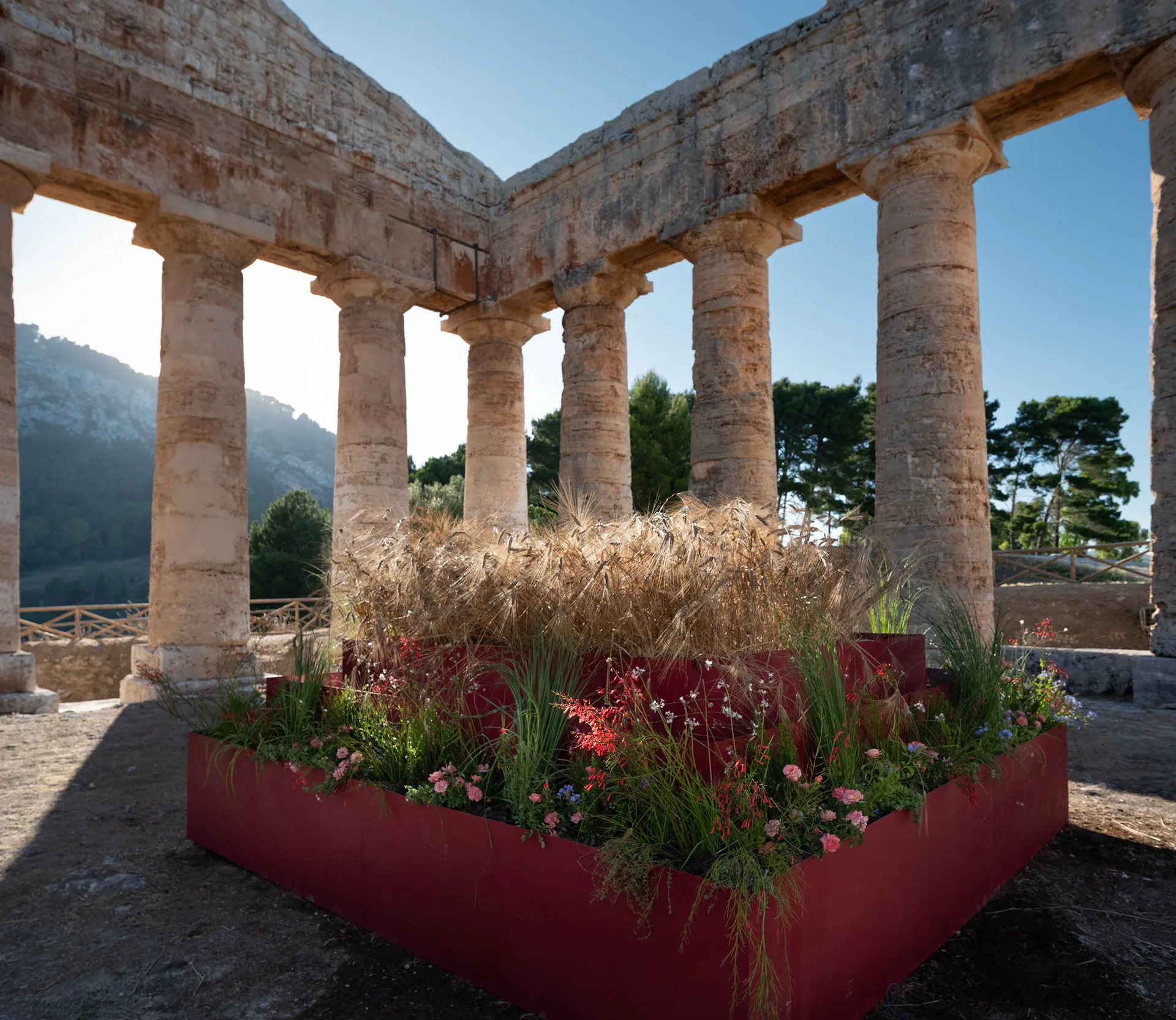 immagine per Progetto Elyma Segesta Gandolfo G. David, ph. Sandro Scalia