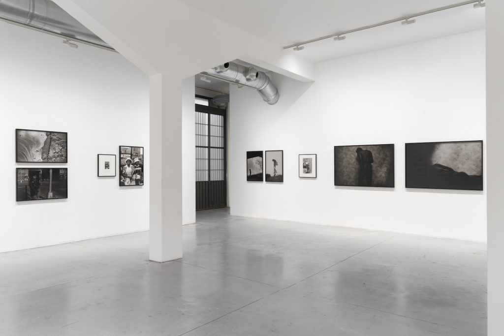 immagine per Ming Smith - I Paint with Light. M77 Gallery 2025. Foto di Lorenzo Palmieri