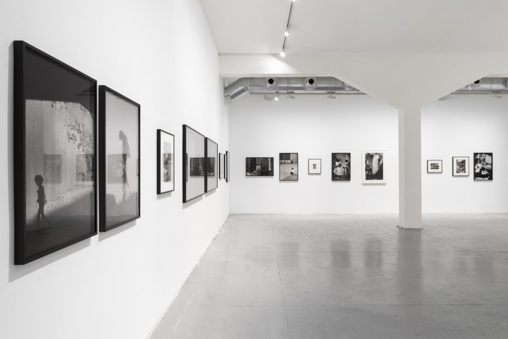 immagine per Ming Smith - I Paint with Light. M77 Gallery 2025. Foto di Lorenzo Palmieri