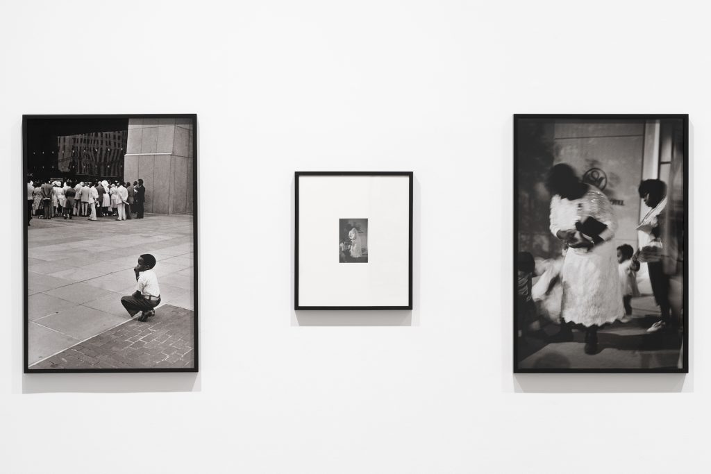 immagine per Ming Smith - I Paint with Light. M77 Gallery 2025. Foto di Lorenzo Palmieri