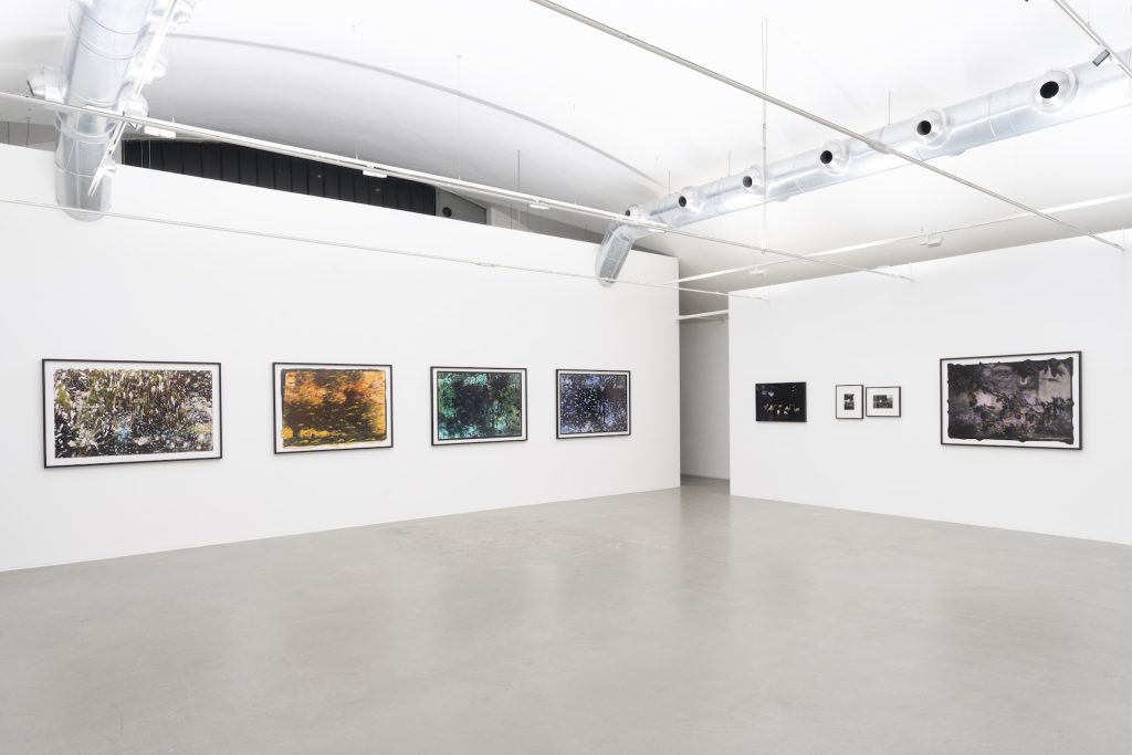 immagine per Ming Smith - I Paint with Light. M77 Gallery 2025. Foto di Lorenzo Palmieri