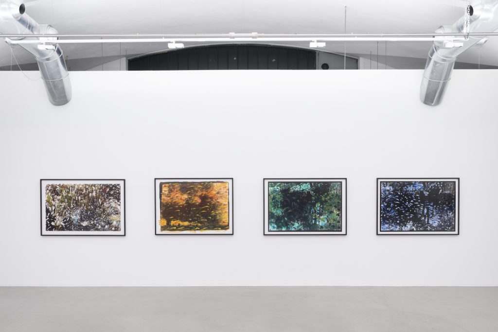 immagine per Ming Smith - I Paint with Light. M77 Gallery 2025. Foto di Lorenzo Palmieri
