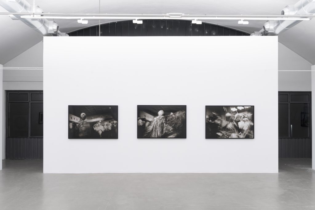 immagine per Ming Smith - I Paint with Light. M77 Gallery 2025. Foto di Lorenzo Palmieri