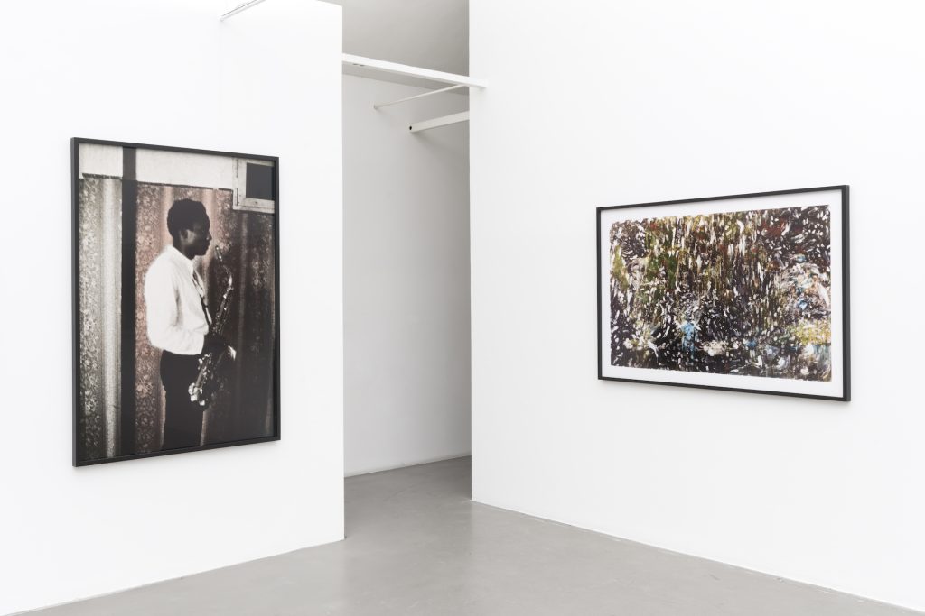 immagine per Ming Smith - I Paint with Light. M77 Gallery 2025. Foto di Lorenzo Palmieri
