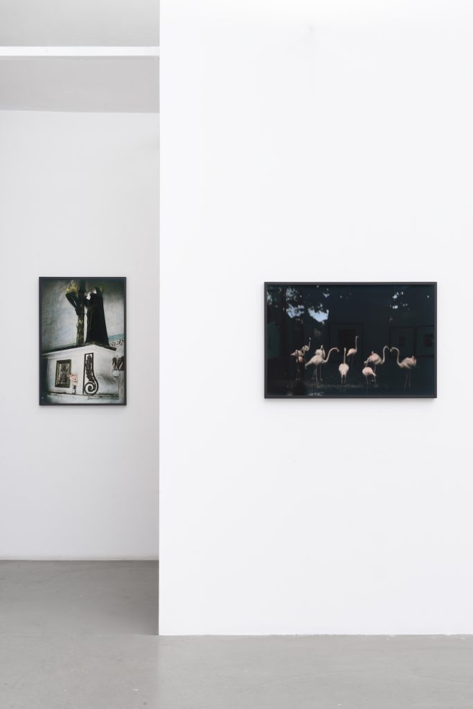 immagine per Ming Smith - I Paint with Light. M77 Gallery 2025. Foto di Lorenzo Palmieri