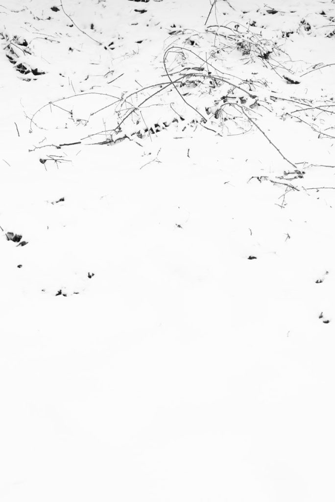 immagine per Paola De Pietri, Senza titolo, 2016, inkjet print on cotton paper, triptych, cm 40,5x27 each_1