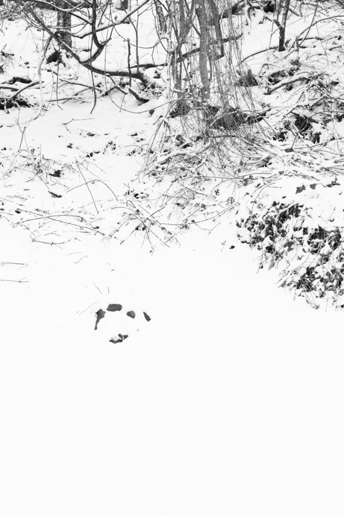 immagine per Paola De Pietri, Senza titolo, 2016, inkjet print on cotton paper, triptych, cm 40,5x27 each_2