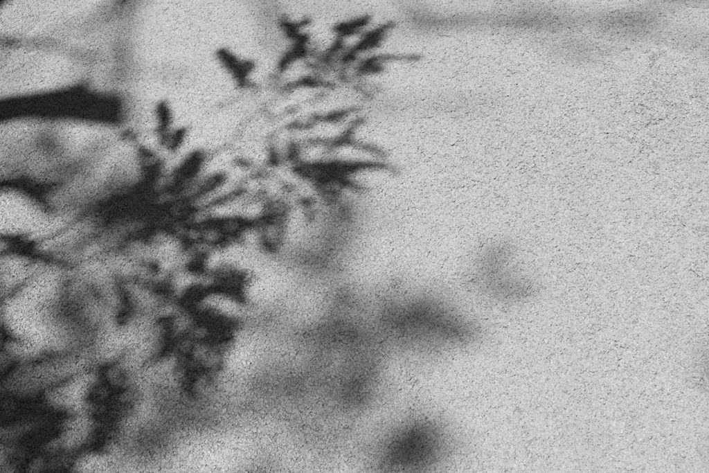 immagine per Paola De Pietri, Senza titolo, 2022, inkjet print on cotton paper, cm 27x40,5_a