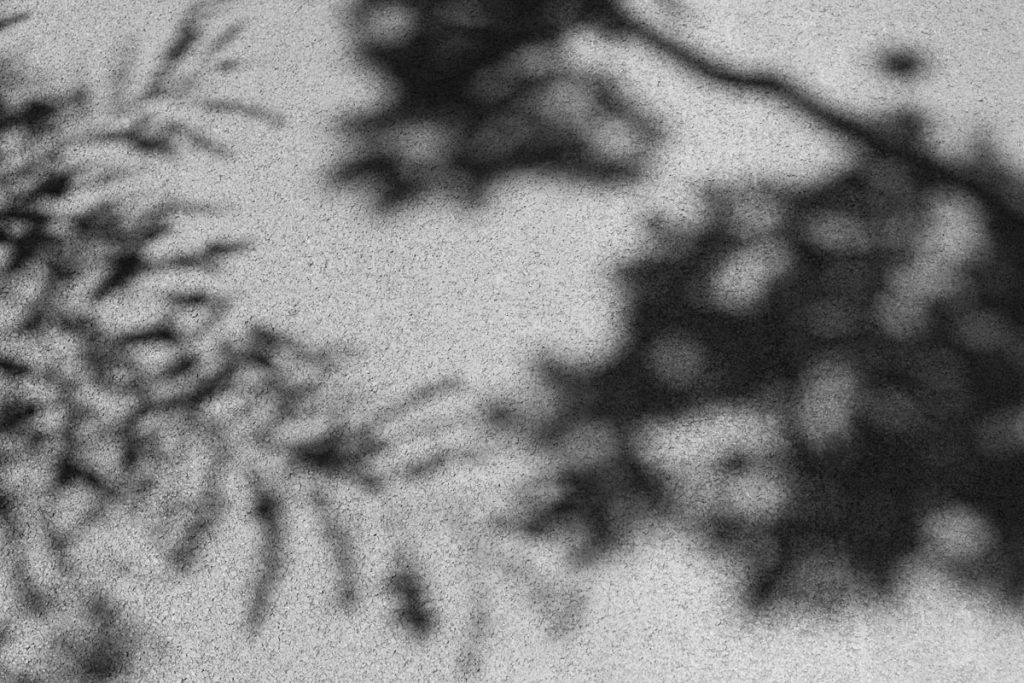 immagine per Paola De Pietri, Senza titolo, 2022, inkjet print on cotton paper, cm 27x40,5_b