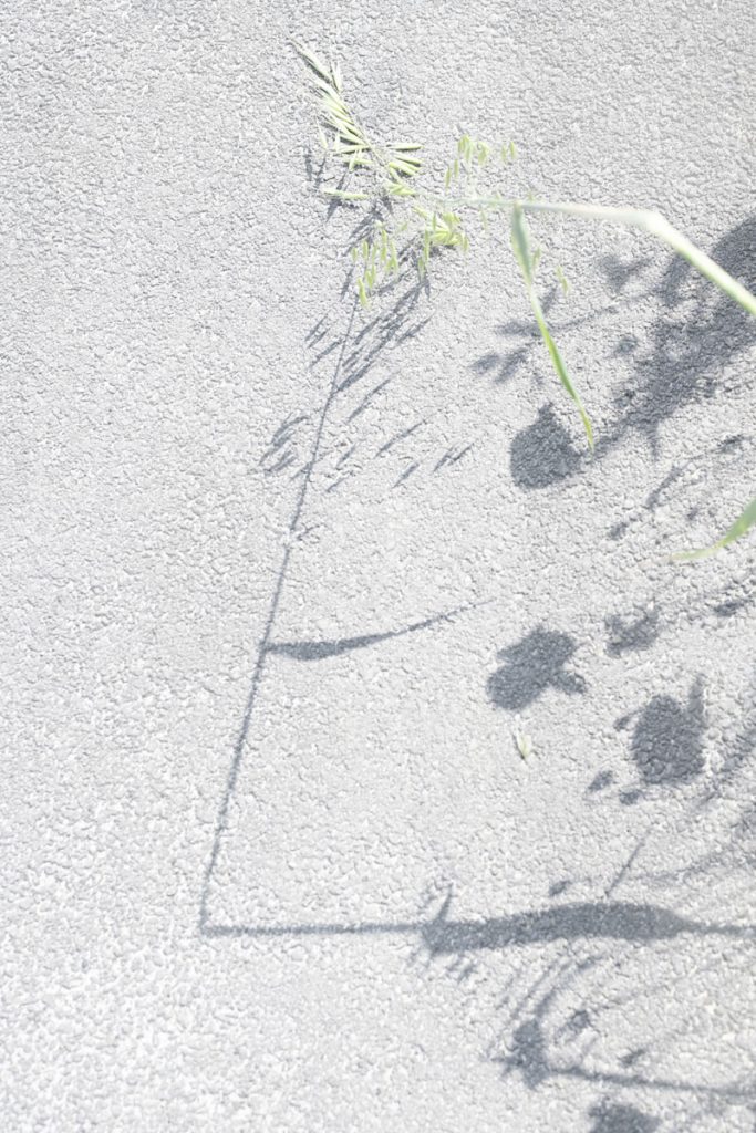 immagine per Paola De Pietri, Senza titolo, 2024, inkjet print on cotton paper, cm 40,5x27_c