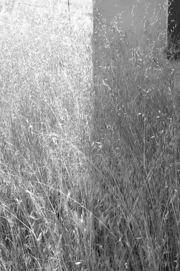 immagine per Paola De Pietri, Senza titolo, 2024, inkjet print on cotton paper, diptych, cm 52,5,x35 each_1