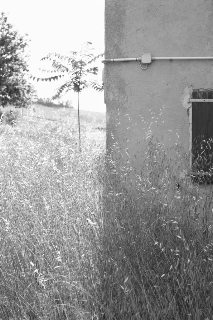 immagine per Paola De Pietri, Senza titolo, 2024, inkjet print on cotton paper, diptych, cm 52,5,x35 each_2
