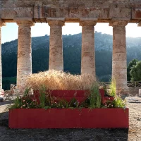 immagine per Progetto Elyma. Installazioni vegetali e performance. Intervista a Gandolfo Gabriele David