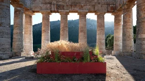 immagine per Progetto Elyma. Installazioni vegetali e performance. Intervista a Gandolfo Gabriele David