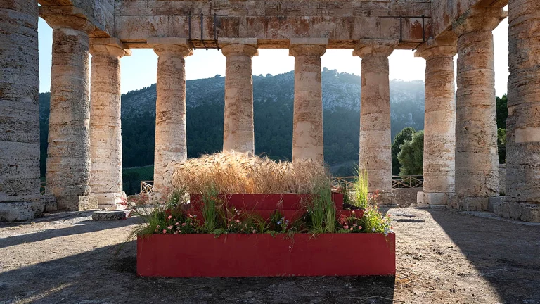 immagine per Progetto Elyma. Installazioni vegetali e performance. Intervista a Gandolfo Gabriele David