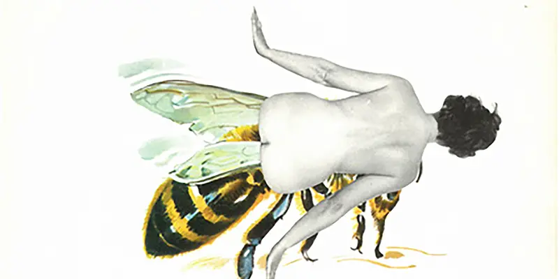 immagine per Tomaso Binga Euforia