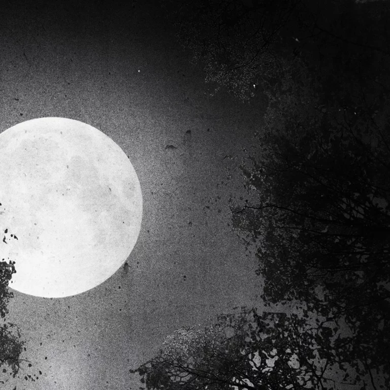 immagine per Il giardino delle ombre di Barbara Malaisi. Una discesa nell'oscurità dell'anima e nel labirinto del destino