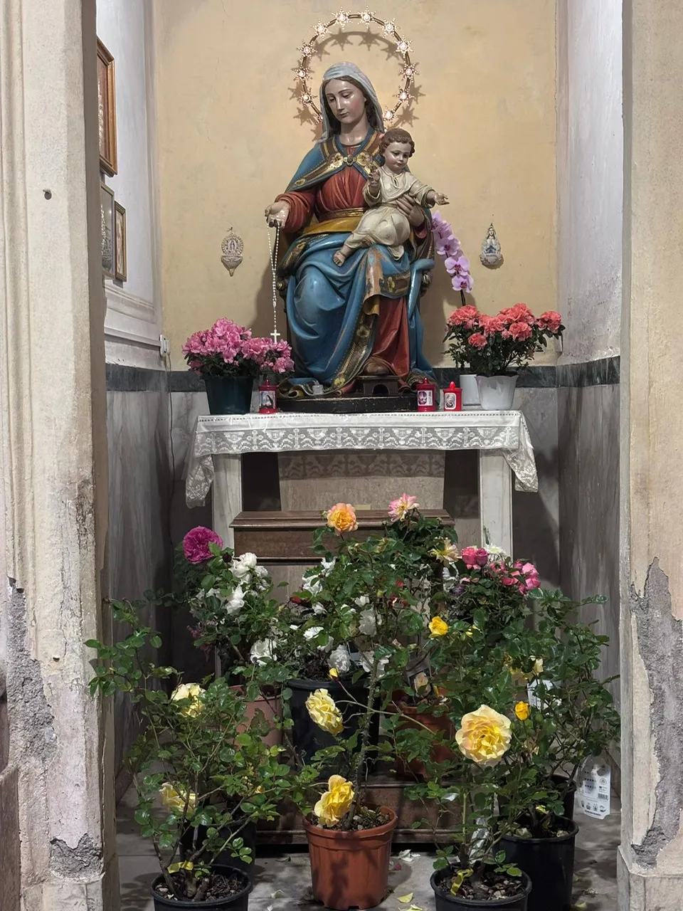 immagine per B.zzaro Blooming - Virgin Installazione
