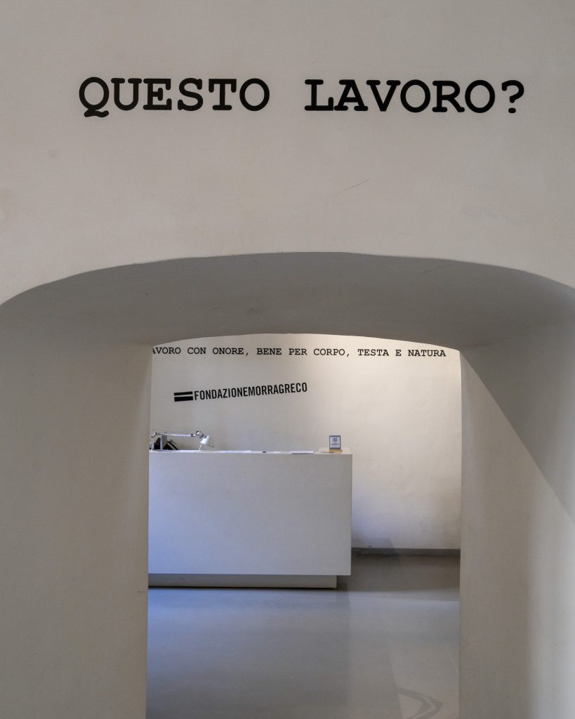 immagine per Installation view. Lavoro per Natura Vivente, non solo Capitali. Fondazione Morra Greco 2025. Photo by Amedeo Benestante, Courtesy Fondazione Morra Greco