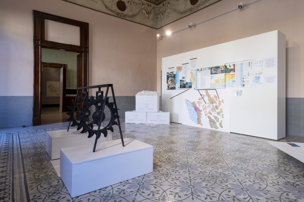 immagine per Installation view. Lavoro per Natura Vivente, non solo Capitali Fondazione Morra Greco 2025 Photo by Amedeo Benestante Courtesy Fondazione Morra Greco