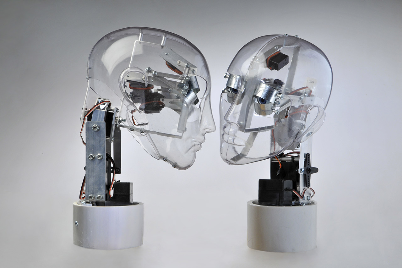 immagine per Guzzetti, Affective Robots