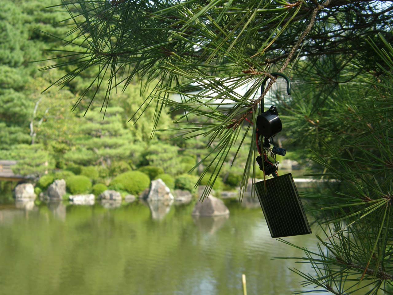 immagine per Guzzetti, Japan Nara Park