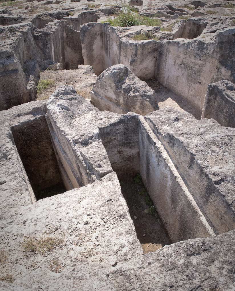 immagine per Monumenti Aperti 2025
