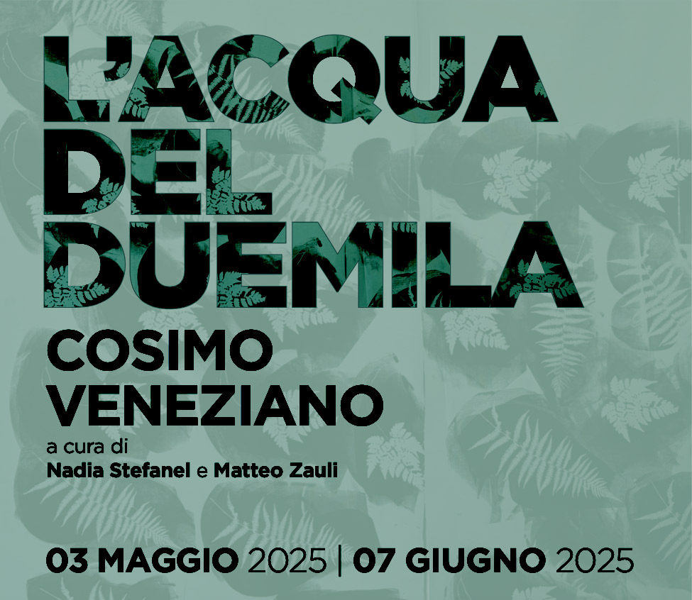 immagine per Cosimo Veneziano Acqua Duemila