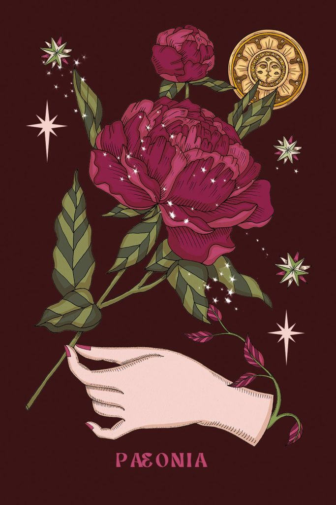 immagine per Elisa Seitzinger - Herbarium Oracle