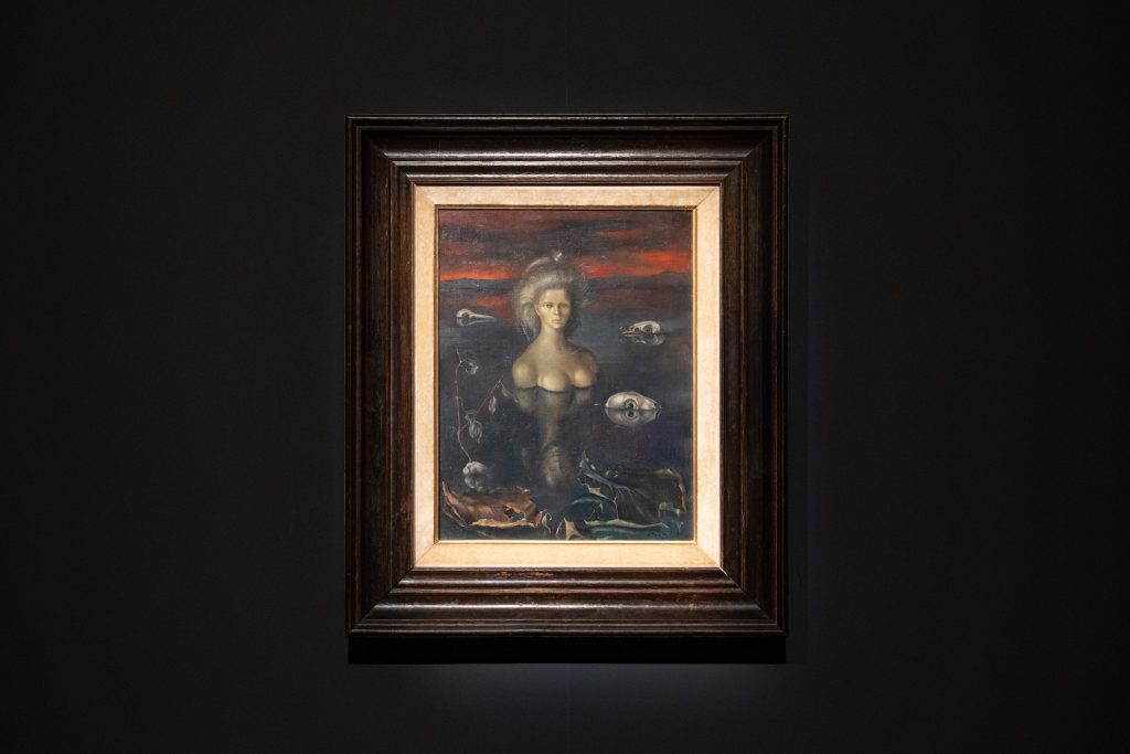 immagine per Io sono Leonor Fini - allestimento a Palazzo Reale, Milano