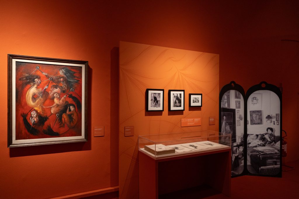 immagine per Io sono Leonor Fini - allestimento a Palazzo Reale, Milano