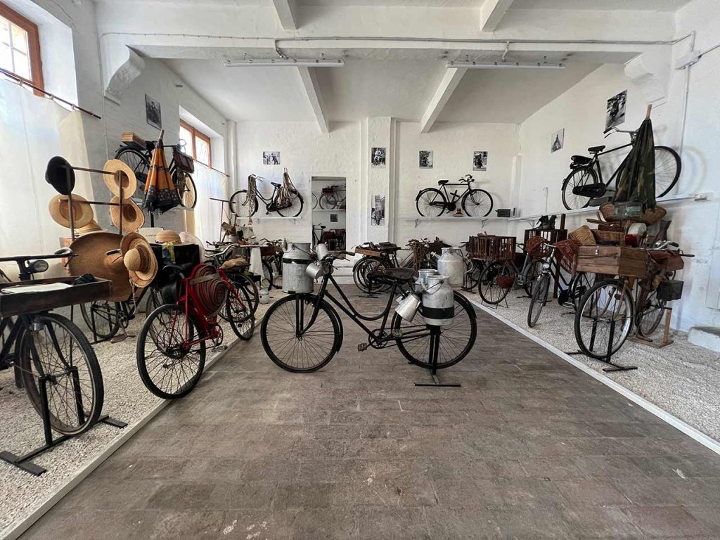 immagine per Montefano, Ciclo Museo