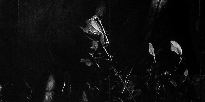 immagine per Slit in the dark, Fabio De Benedettis