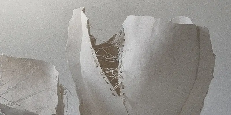 immagine per Nesher The Fault Line