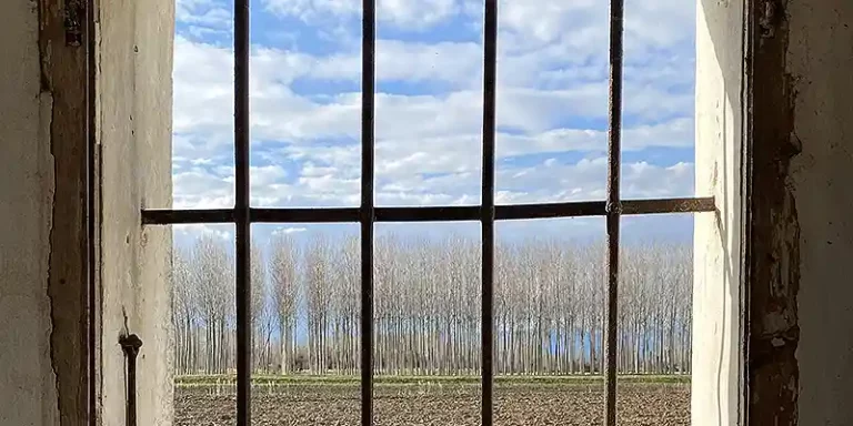 immagine per Tèste | Testé
