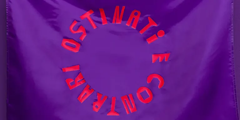 immagine per Festival dei Diritti Umani