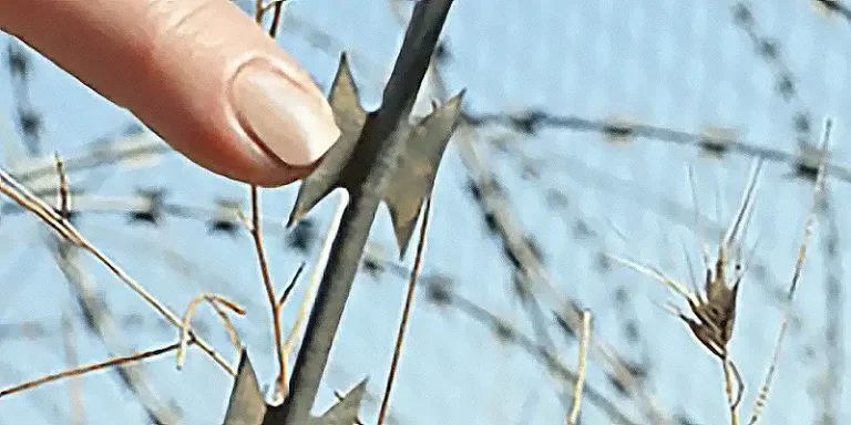 immagine per Motion of a Nation
