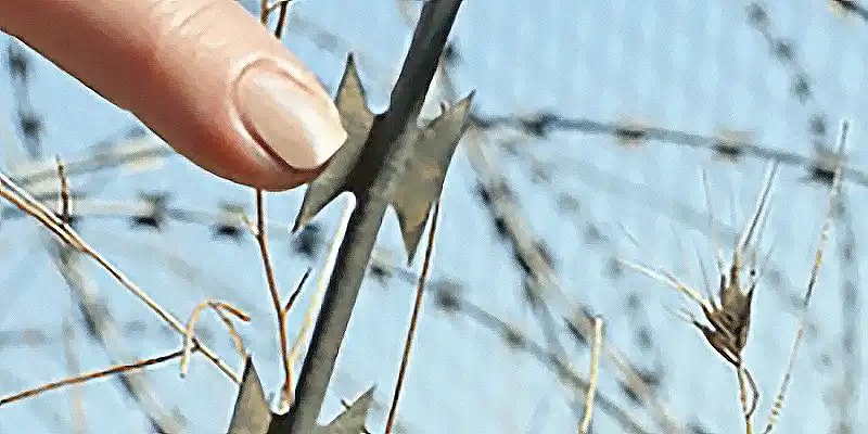 immagine per Motion of a Nation